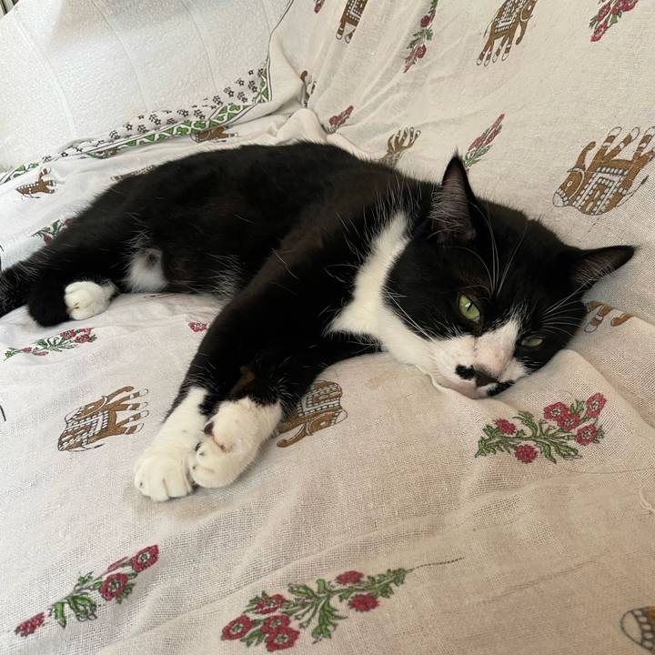 7c09a36a f45a 4256 9879 d581744e0ce3 1694386917793