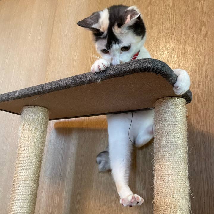 7c09cd93 05f1 46b3 a80c 2e76d4756d5a 1728693443137