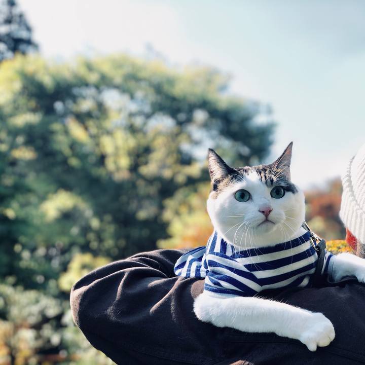 7c09e647 43a0 42fa 9458 9392bb1c8e0e 1541289660139