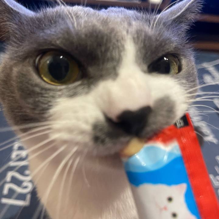 7c09effc ca22 4ede b877 2e81c9aa941a 1699091198345