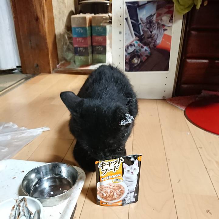 7c0a07fb 03a4 4665 974b f698c46c61a8 1625053518769