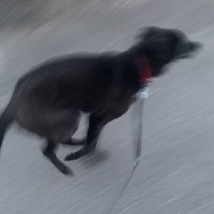 7c0a279f 3e6a 4651 8186 3aff27e3ab3d 1745922929705