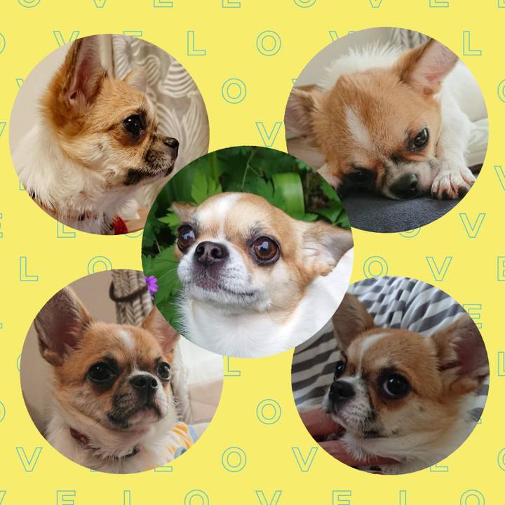 7c0a2ddb 6711 46fa bb5b 09a258e2c91b 1654728532541