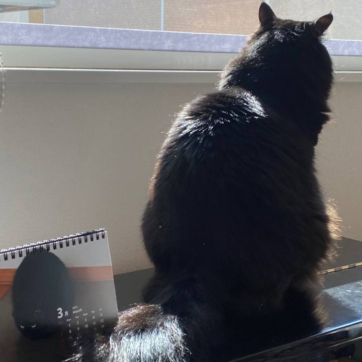 7c0a49b5 3478 4bea ad65 298e7ffa4e64 1614733500156