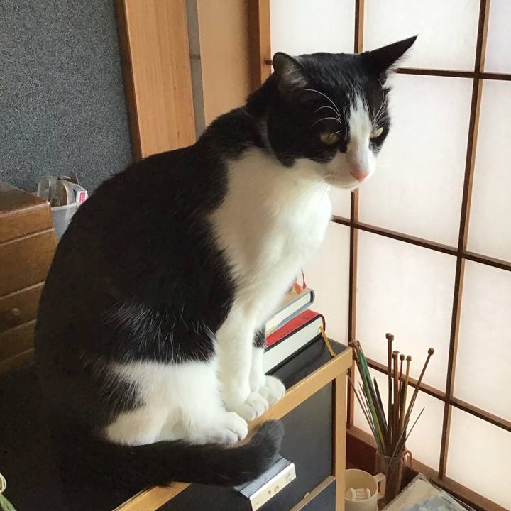 7c0aa9b6 8dac 47e6 9a51 6539f9fdc701 1739344795227