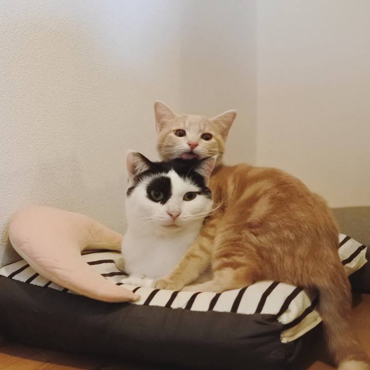 7c0ac18e 17c5 4156 ba89 18c3bb71940f 1547303901336