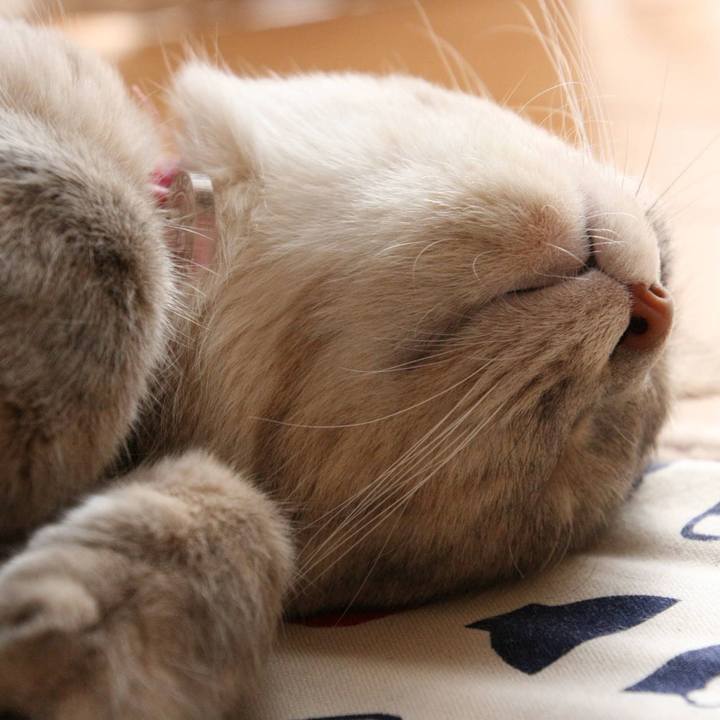 7c0adb5f 6a8a 41fe 92b0 d5022de6b496 1532766183763