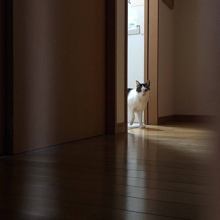 7c0ade43 3653 4779 b6bd da478dff5ef3 1646227831468