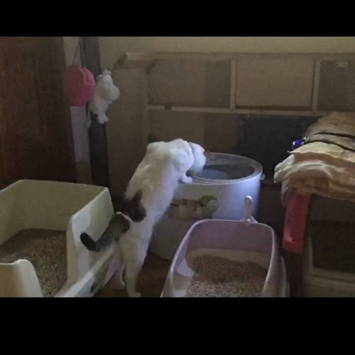 7c0b2ff7 918b 4f47 9539 e672950dd3b8 1563013636460