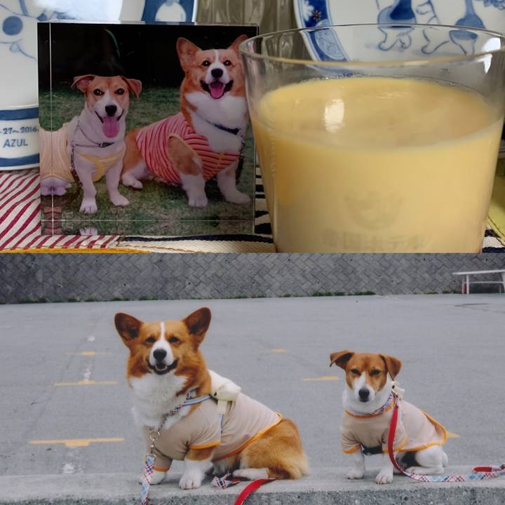 7c0b40dc 924e 413d 805e 027c8aff3dd2 1597233452428