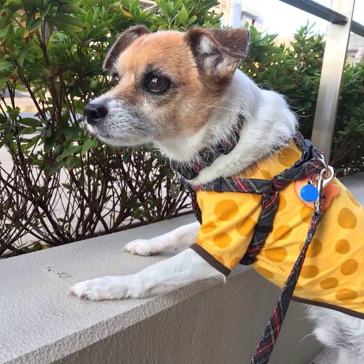 7c0b4cf8 a70c 4482 b50b e458df7e5755 1541895640376