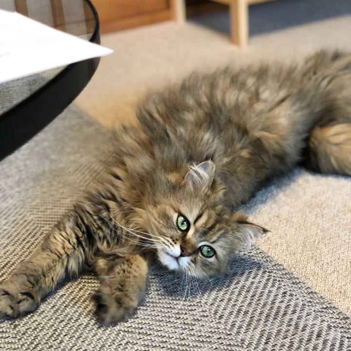 7c0ba286 707b 4ea6 a106 fdd0cb07d966 1558168965628