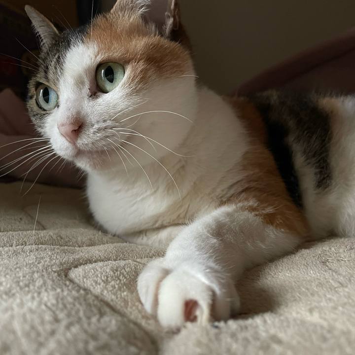 7c0bc062 8cee 4580 a716 aa19fac31316 1684241191064