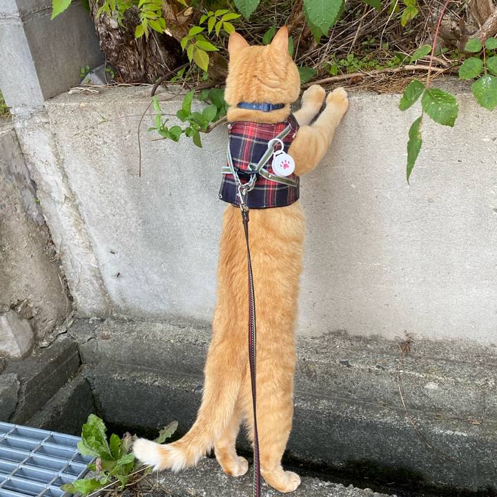 7c0c17b5 1d22 4ba1 a872 5c03ea2f0444 1662796206539