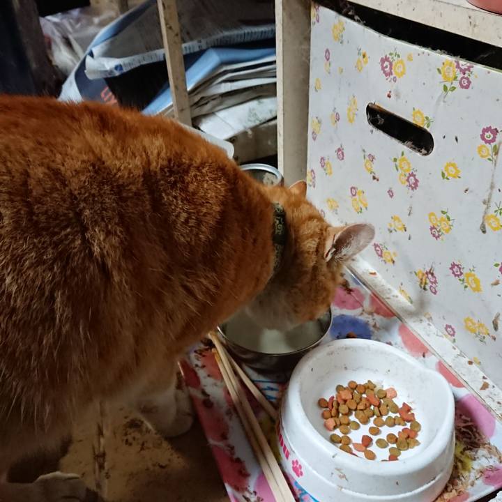 7c0c2e13 85d1 463a af00 064f8a75fe69 1584790942274