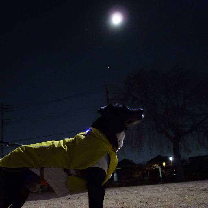 7c0c34b5 8e13 478a 9e50 b68984cb3de7 1736766194158