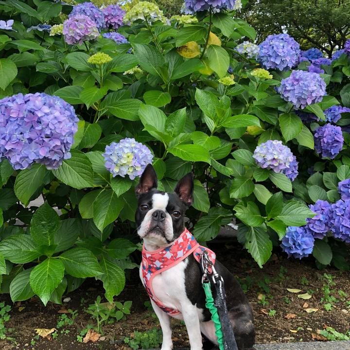 7c0c56b6 03cb 448c 8d3b f00ce3af9f44 1623060395220