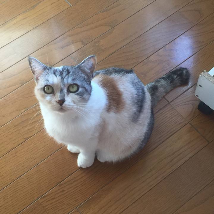 7c0c72d9 a220 4bed 96f3 69ff13e961fb 1574230813457