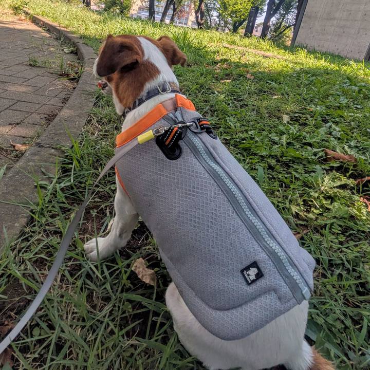 7c0c95f7 35f3 4be2 b62d aa45854e6882 1754358578958