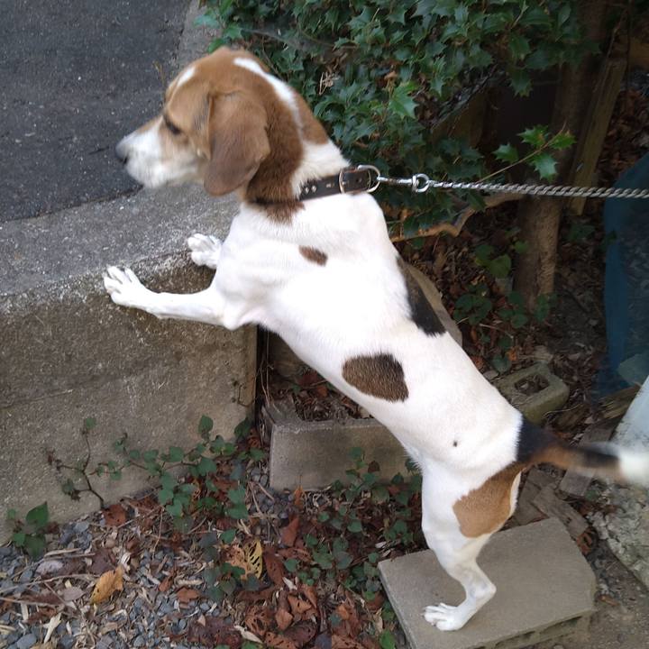 7c0c9e7e 5ec9 463c 8256 7f4dde9aff92 1634990707827