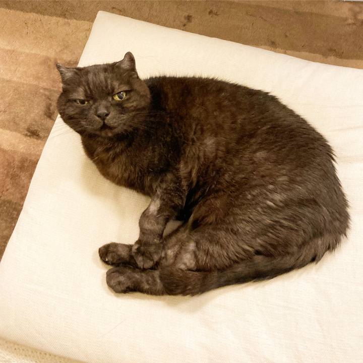 7c0ca9ae bf50 408d 9bd6 79804d24ecb7 1621254317541