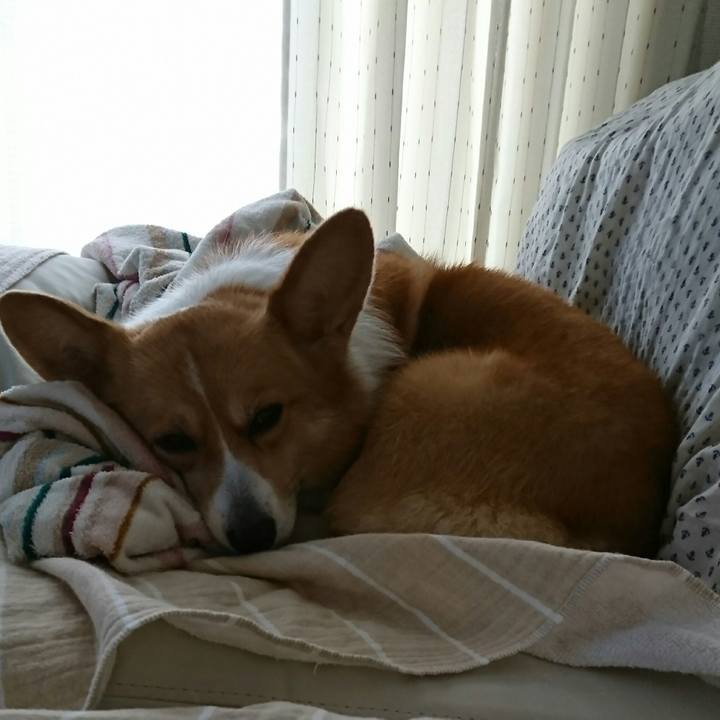 7c0cb0db fad0 4c57 b09d 27c767db3cf8 1529720411999