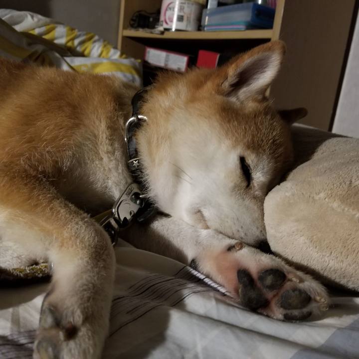 7c0cd532 2680 4906 8d80 f2cbdede8343 1596291548480