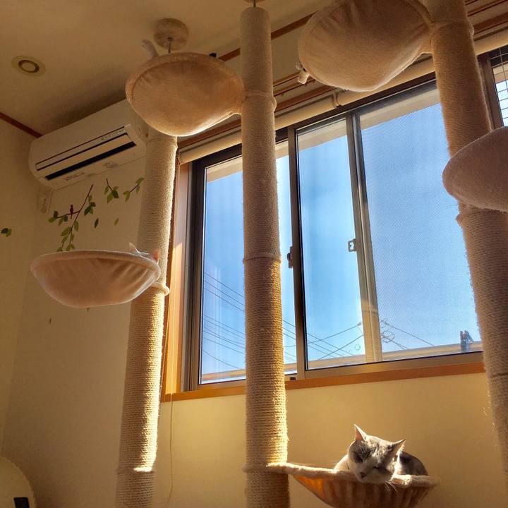 7c0d0164 2dca 4ef6 9345 3e26751c5bed 1509072270211