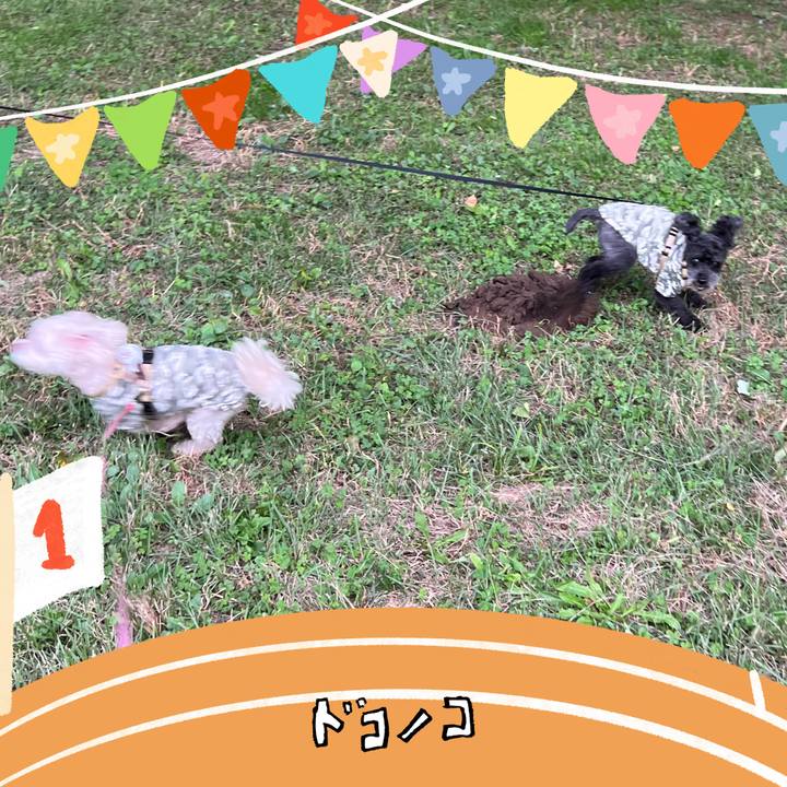 7c0d059c f129 4d28 b31b e6e0d824666b 1761462240895