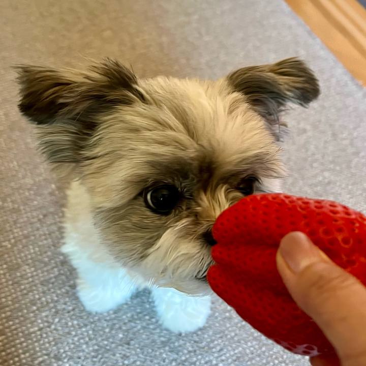 7c0d2b6b c35d 4407 9b6d 4e52b37328dc 1645271249841