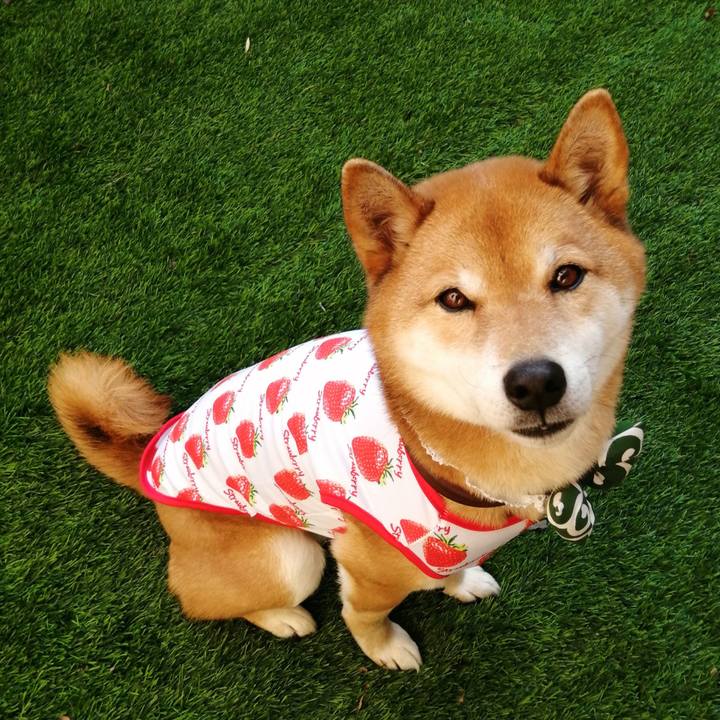 7c0d3922 3d12 4464 9db3 dfbd28997758 1581573693061