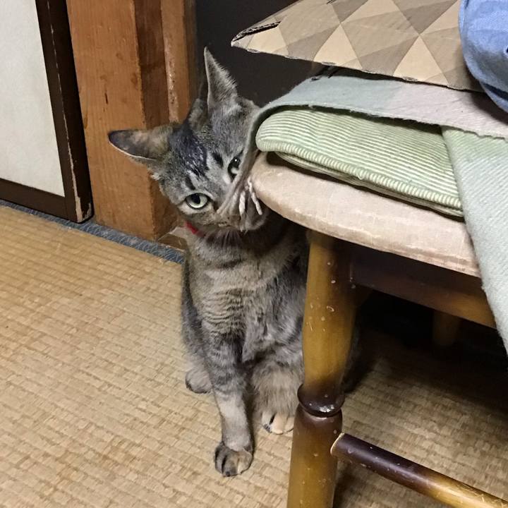 7c0d3947 168c 4755 bbb4 7b48d1db9b72 1681131109438