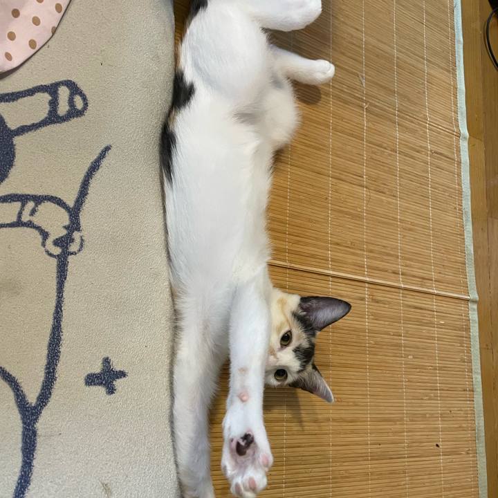 7c0d441b 4157 4f1a a601 fefcb9c80190 1662638105698