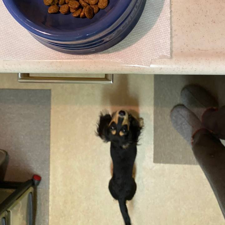 7c0d4a36 9677 4297 a9f3 21879a6518d3 1674435605260