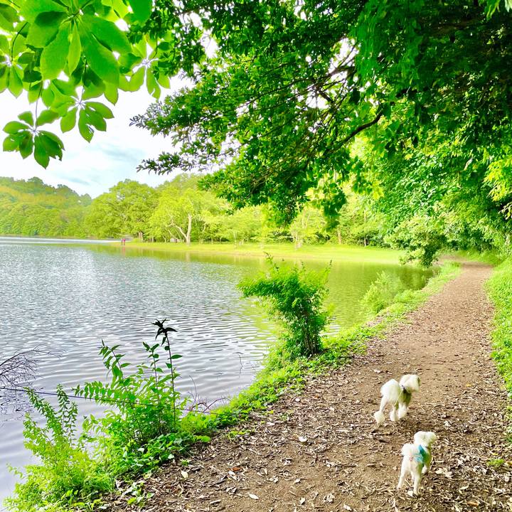 7c0d58cd d5c3 4a84 b900 cd99c00097ae 1623227972148