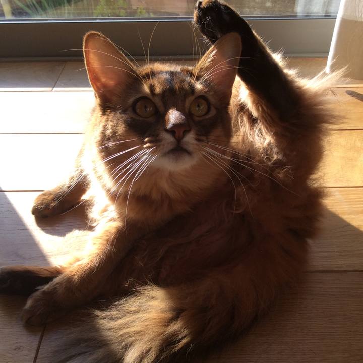 7c0d5ad7 e91d 43b6 8a00 4946239f265f 1609893669125