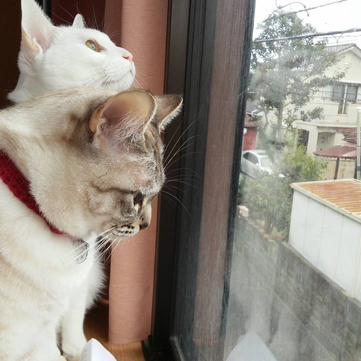 7c0d7147 f7ae 4942 b5df b42af1b997db 1516929365485