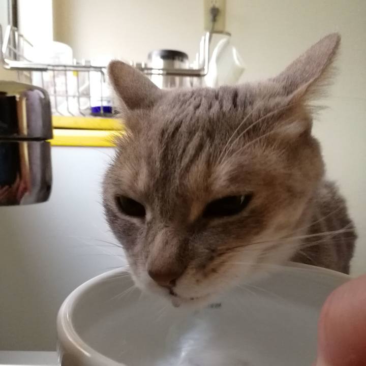 7c0d89f5 1482 4cb2 b410 a8065771aadd 1529388693209