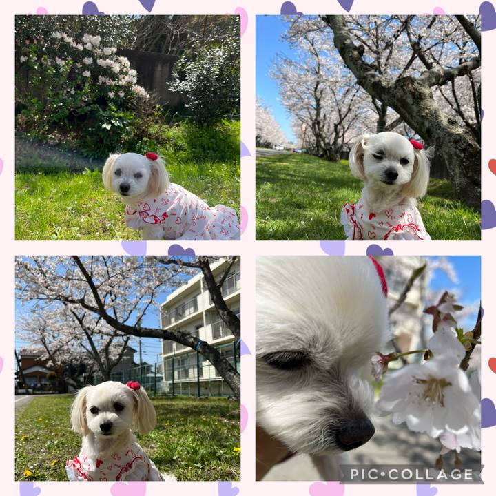 7c0d8ae1 d535 4e19 801c 7359e3b508f1 1680087884044