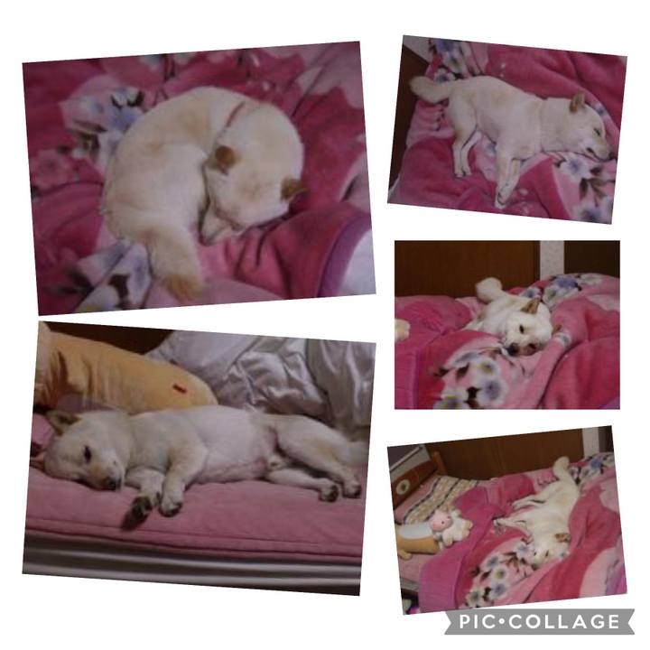 7c0da0f2 ffeb 4f3c b4ea 85448c8aa1c2 1647894101284