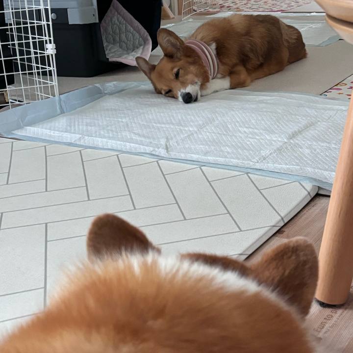 7c0da98e 8670 4143 b859 0ef1c34e9960 1757658427887