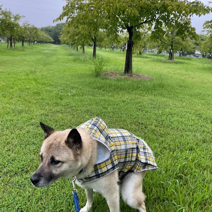 7c0db207 1820 4ec1 a22c 583e56a822ff 1688904437279