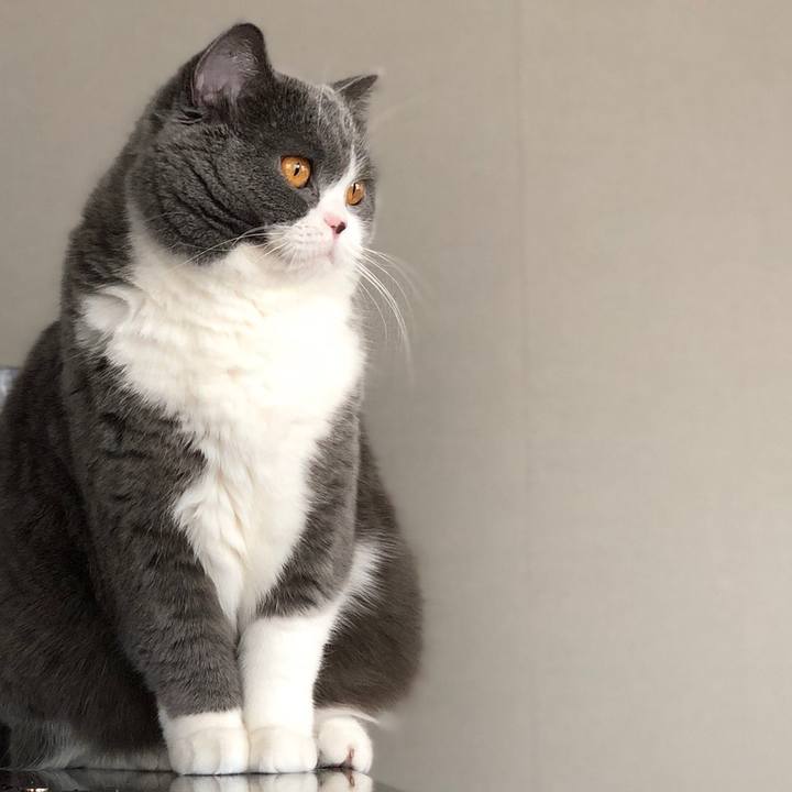 7c0dc4df 1902 4a62 9ab2 19a21d3c3c7e 1516507384244