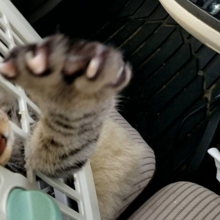 7c0dc9f8 7f08 4519 a2e9 078b5bf83ba0 1673690064057