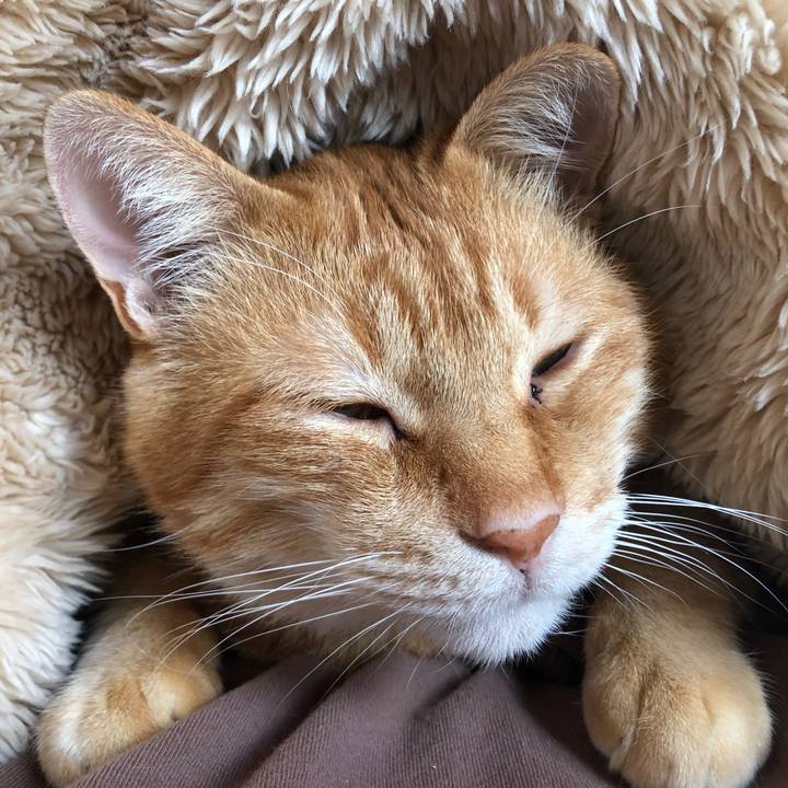 7c0e550b 2a21 4bc5 a688 6d21f8df9f15 1604208648096