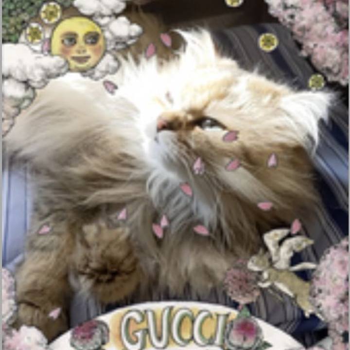 7c0e70b2 17c5 4553 a9a1 0edfe2822a5c 1678448659622