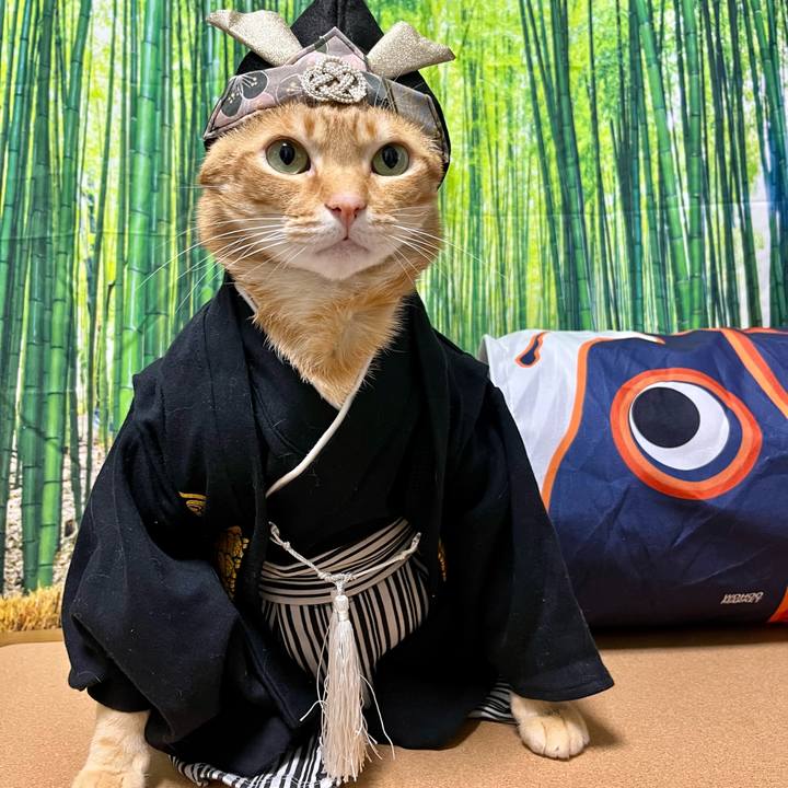 7c0e7618 8b80 458b 8848 45b98391dab8 1683237414810