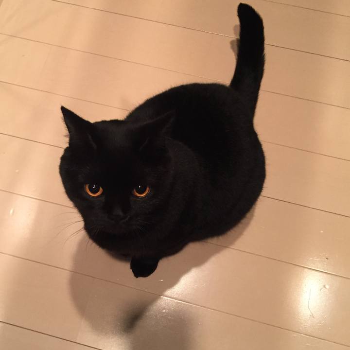 7c0e91aa 6eaa 45af 89ef 76a7de45772d 1541511284838