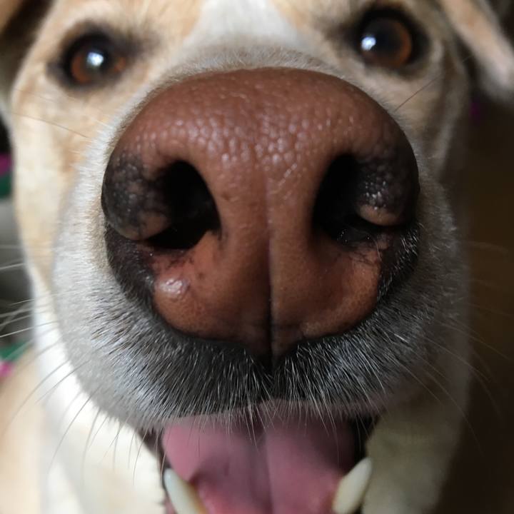 7c0ea7b3 f6f9 45bf bc29 14a7398e75e4 1523488179052