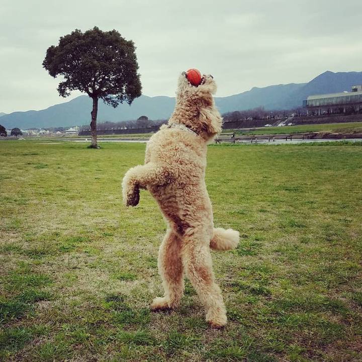 7c0ebaa3 8f7d 4ac5 b633 1ed7272047cd 1550372123537